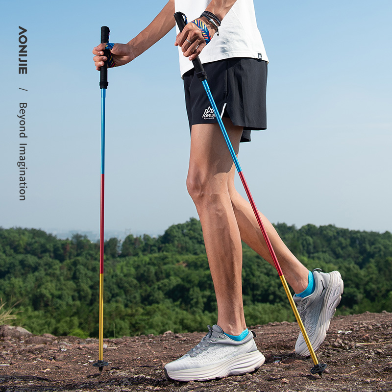 2 palos de senderismo plegable - Trekking Pole Carbon reseña y precio